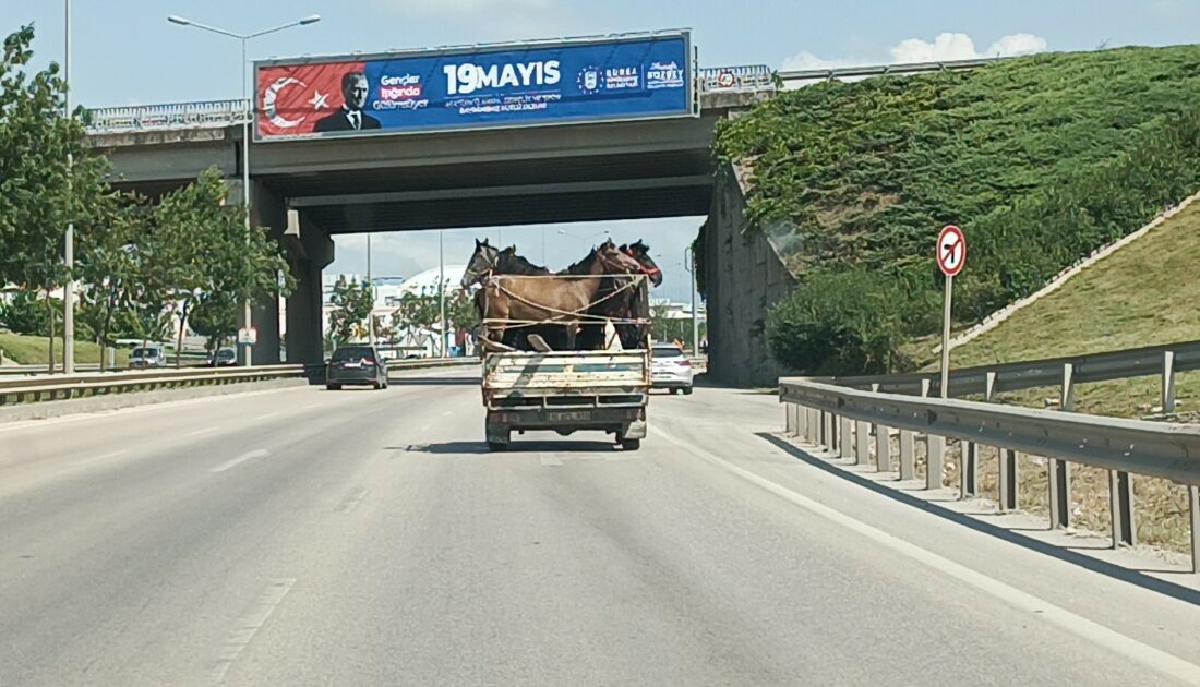 Bursa’da kamyonette tehlikeli yolculuk