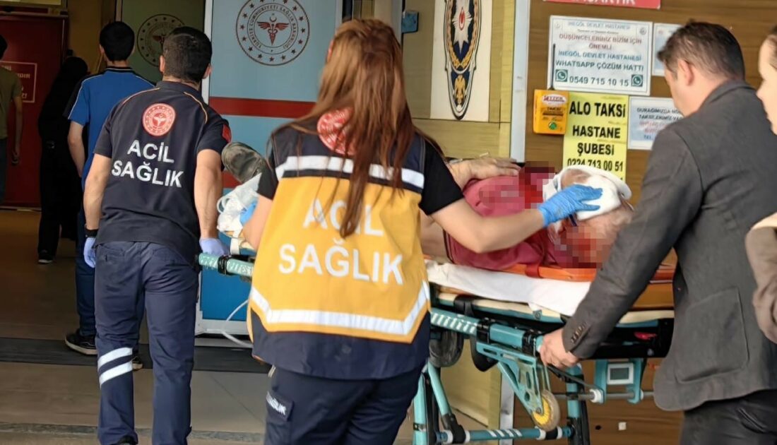 Bursa’da ağaçtan düşen adam ağır yaralandı