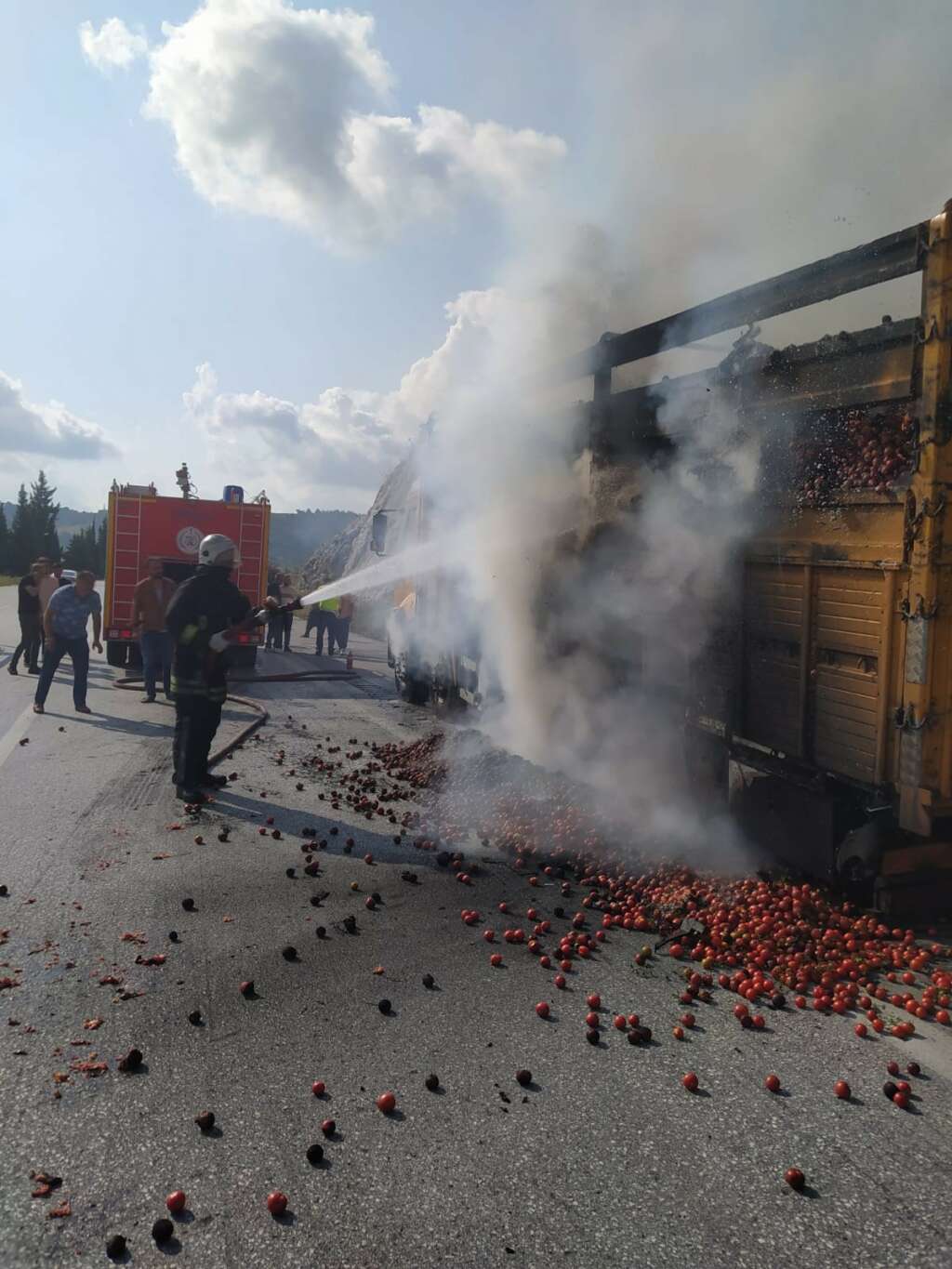 Domates yüklü kamyon yandı