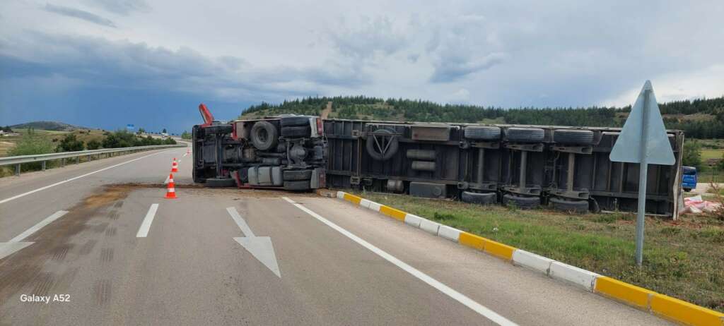 Kontrolden çıkan hayvan yemi yüklü TIR devrildi