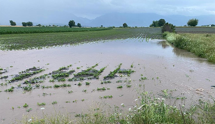 Osmaniye’de tarım arazileri sel suları altında kaldı