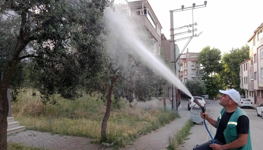 Orhangazi’nin ağaçları haşere tehdidine karşı korunuyor