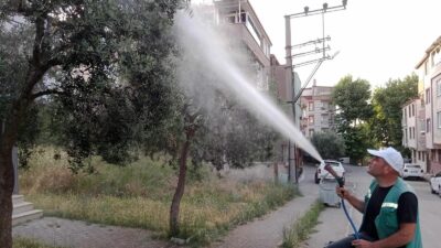 Orhangazi’nin ağaçları haşere tehdidine karşı korunuyor