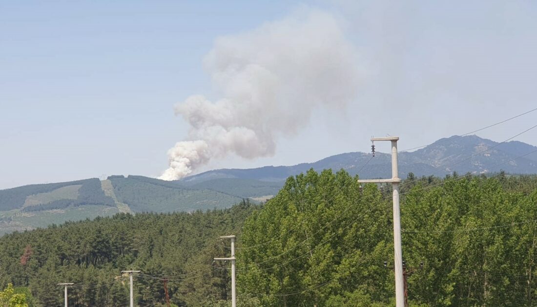 Bursa’da orman yangını… Uçaklar ve helikopterler sevk edildi