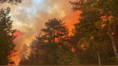 Bursa Valisi açıkladı: Orman yangını 50 dekarlık alanda etkili oluyor