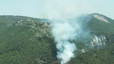 Muğla’da orman yangını