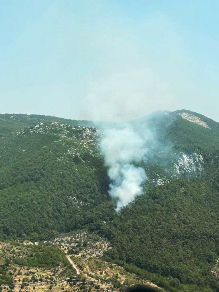 Muğla’da orman yangını