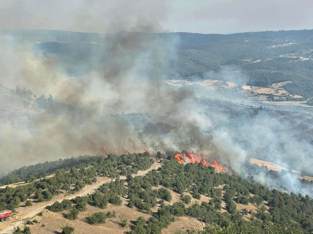 Bursa’daki yangına hava müdahalesi devam ediyor