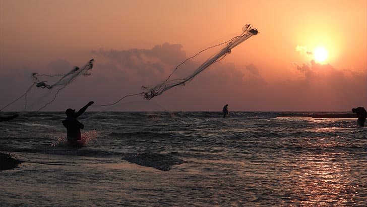 Balıkçıların gün batımında balık mesaisi