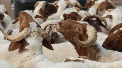 Kurban Bayramı 1. gün tarihi: Bayramın ilk günü ne zaman?