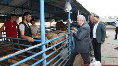 Başkan Şadi Özdemir Alaaddinbey Kurban Pazarı’nı gezdi