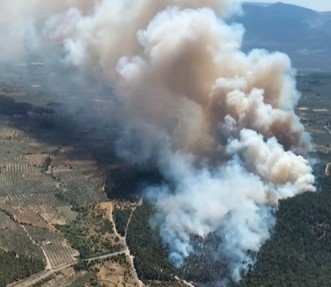 Soma’da orman yangını