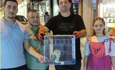 Bursa’da yaralı baykuşu Karacabey esnafı kurtardı