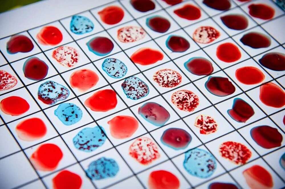 Japon araştırmacılardan kan grubunuza göre karakter analizi