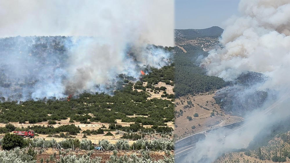 Dört ilde orman yangını: İzmir-Manisa yolu trafiğe kapatıldı