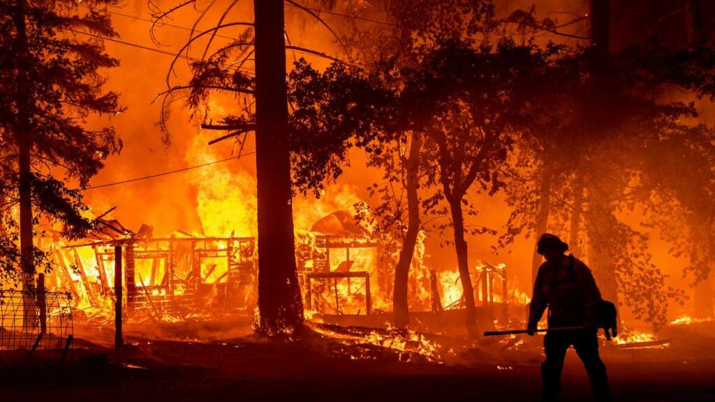 California’nın en büyük orman yangını