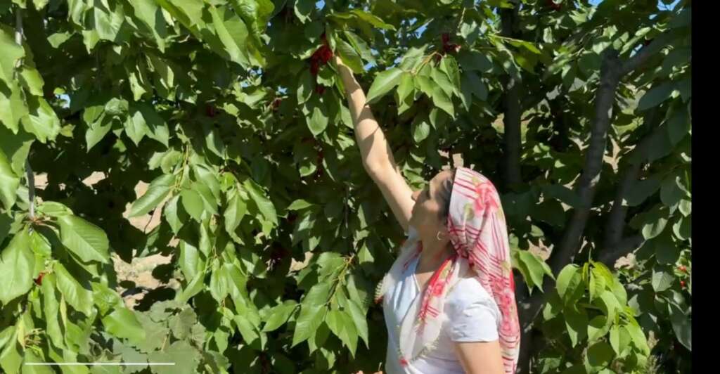 Evinde anne, tarlada çiftçi, mağazada patron