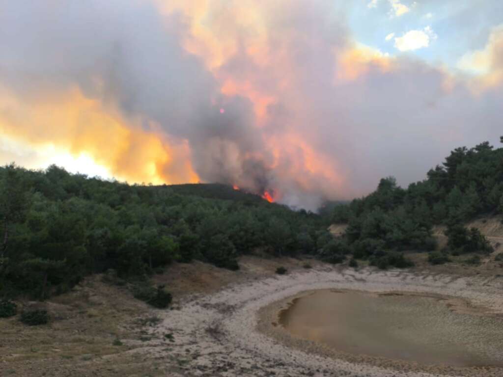 Çanakkale ve Uşak’ta orman yangını: Bazı evler boşaltıldı, müdahale sürüyor