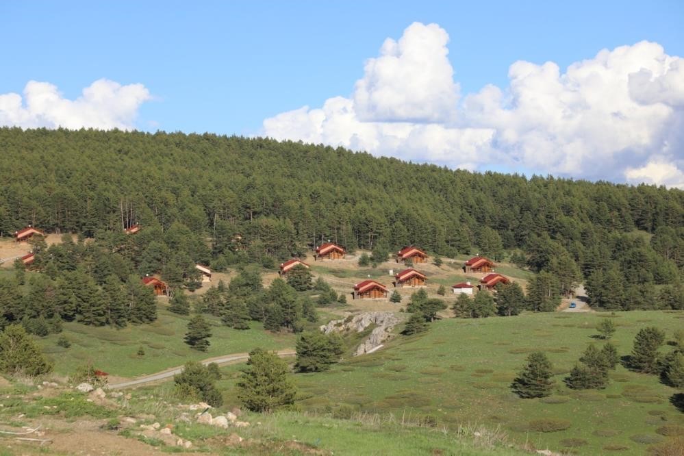 Erzincan’ın yeşil cenneti: Dumanlı Tabiat Parkı