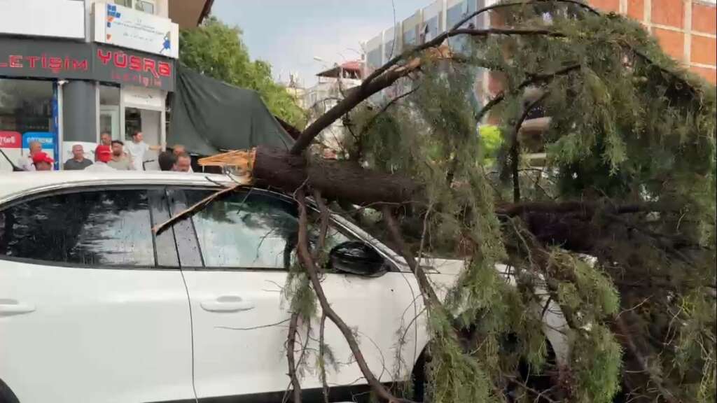 Fırtınada kırılan ağaç aracın üzerine devrildi