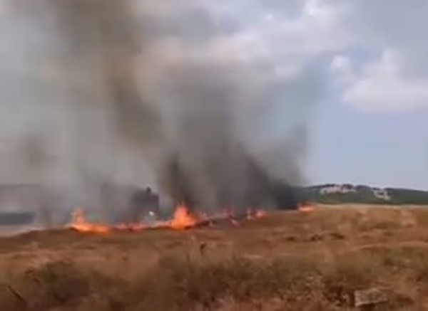Bursa’da buğday tarlası yandı