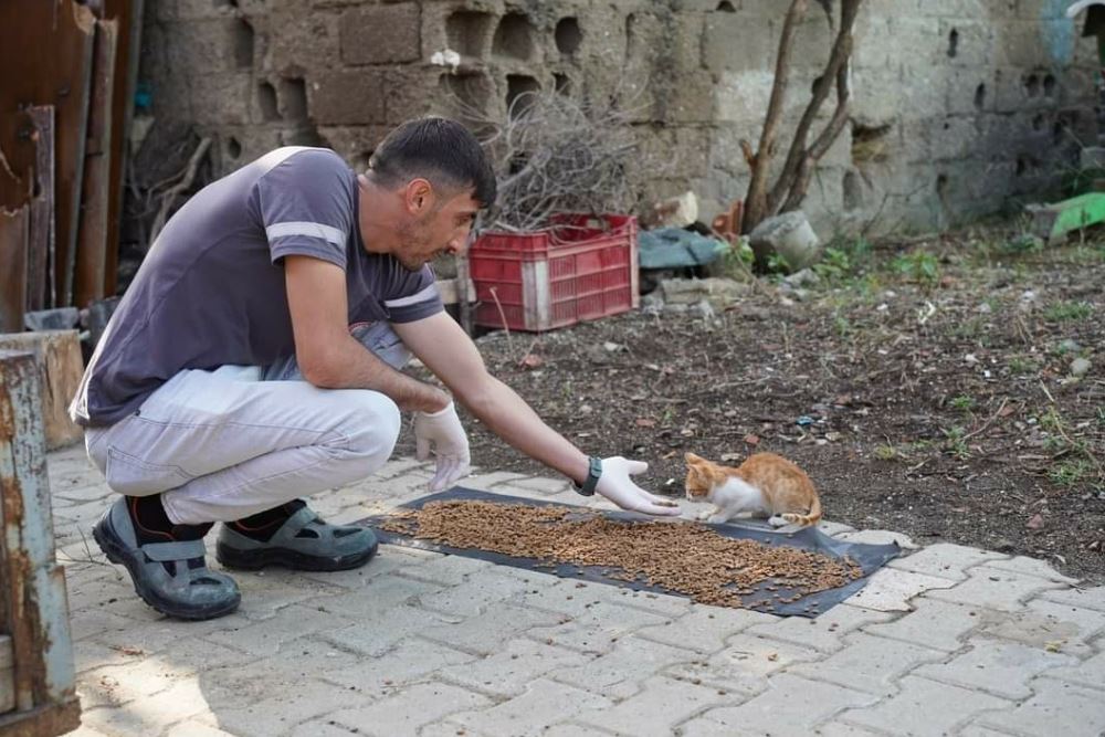 Orhangazi’den sokak hayvanlarına can suyu