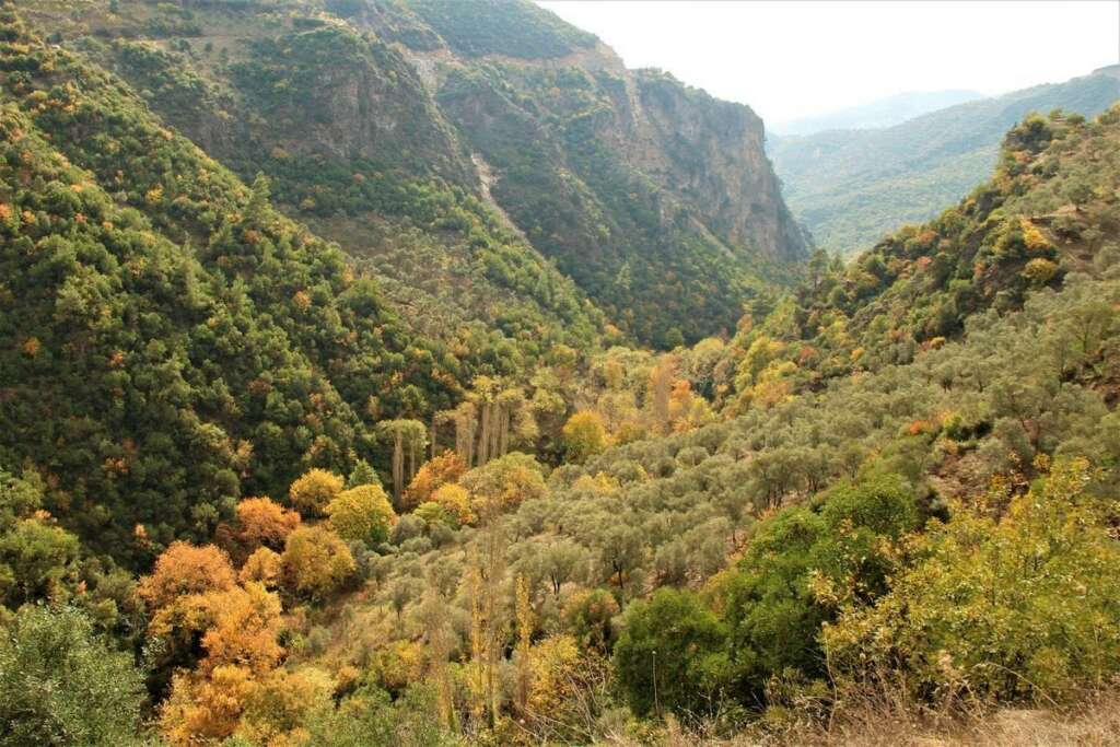 Aydın’ın doğa harikası Koçak Kanyonu