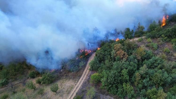 Bursa’da çıkan orman yangını 12 saat sonra kontrol altına alındı