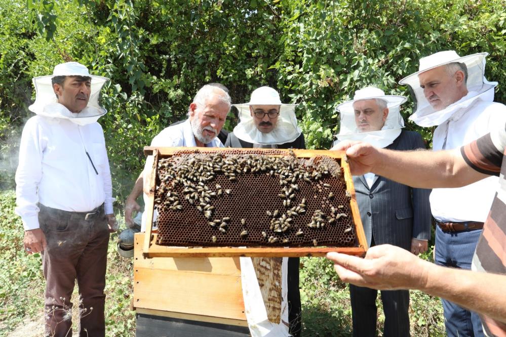 İnegöl bal üretiminde vites yükseltti