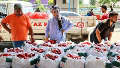 Salça sezonu başladı: Çatılar kırmızıya boyandı