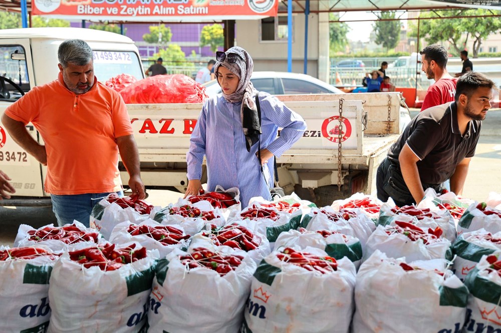 Salça sezonu başladı: Çatılar kırmızıya boyandı