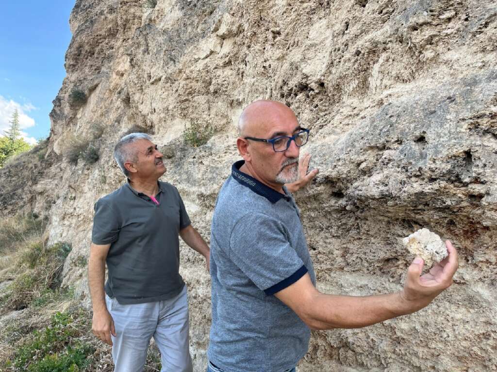 Kızılırmak kenarında yaprak fosilleri bulundu