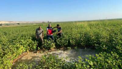 Harran Ovası’nda oluşan dev obruklar çiftçileri korkutuyor