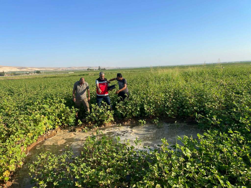 Harran Ovası’nda oluşan dev obruklar çiftçileri korkutuyor