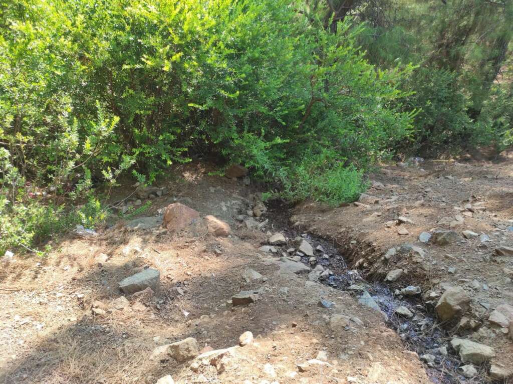 Ormanda terk edilmiş bebek bulundu