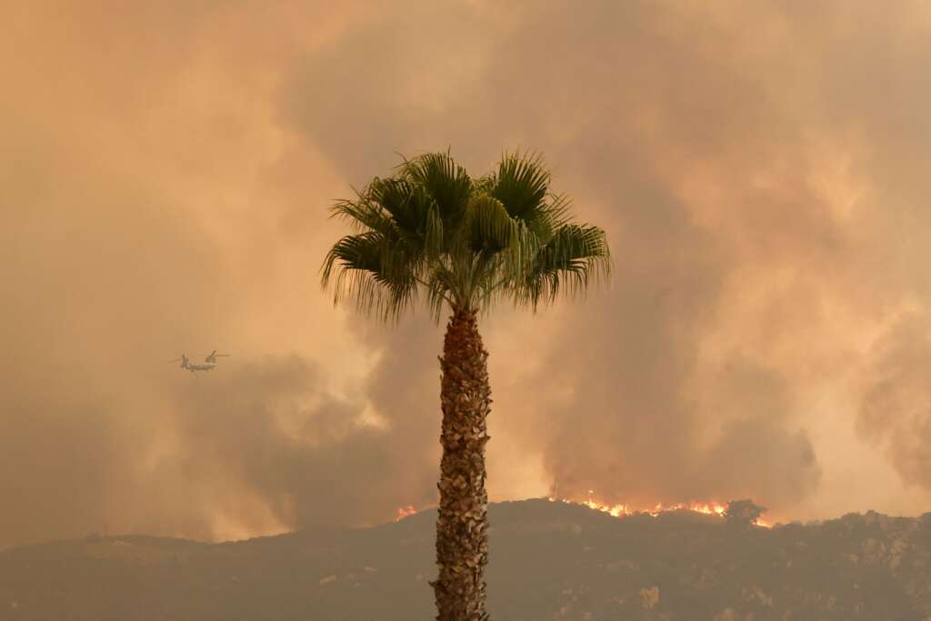 California’daki üç orman yangınında 100 bin dönümden fazla alan kül oldu