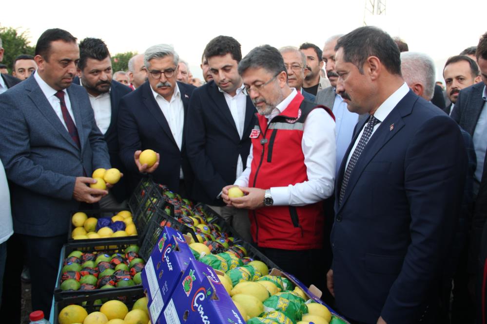 Bakan Yumaklı, narenciye hasadına katıldı