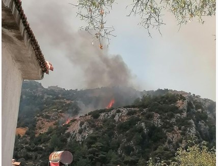 Muğla’da orman yangını