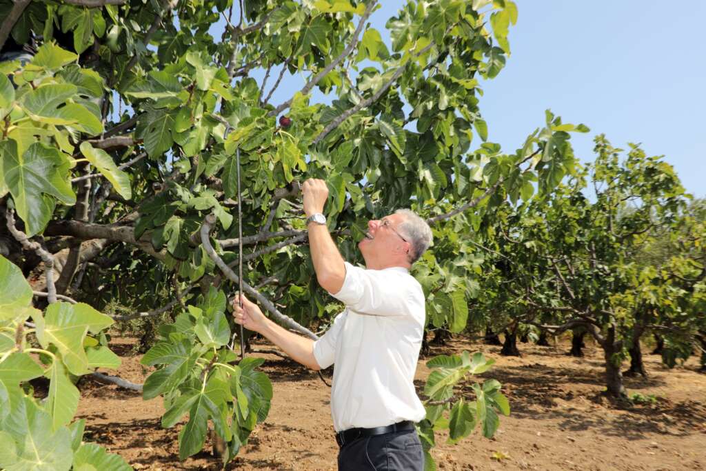 Mudanya tarımla kazanacak