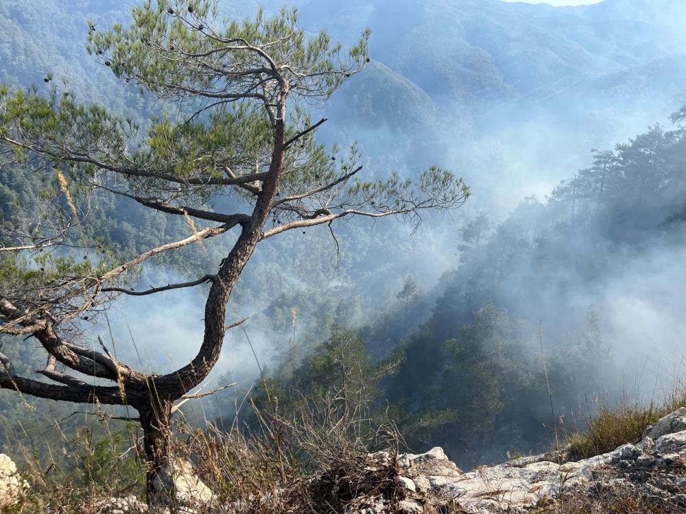 Hatay’da orman yangını! 23. saat geride kaldı