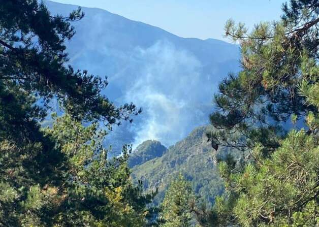 Hatay’da orman yangını