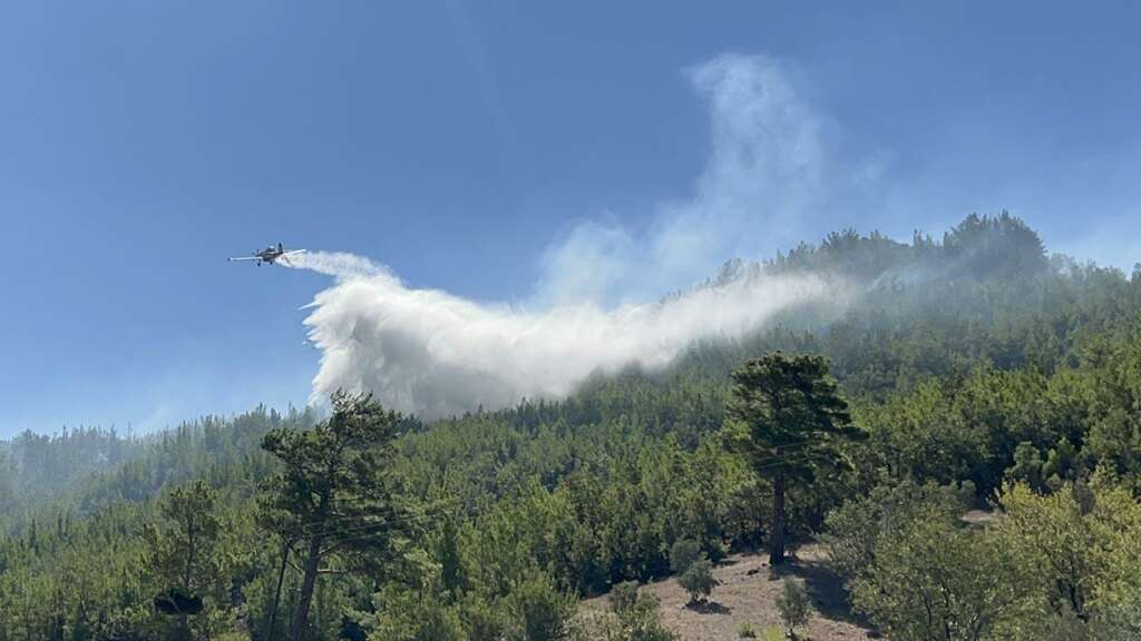 Alanya’daki orman yangını kontrol altına alındı