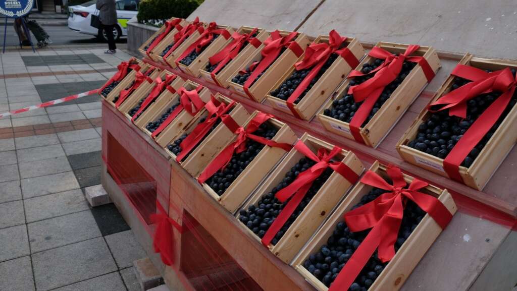 Orhangazi Zeytin Festivali kutlandı