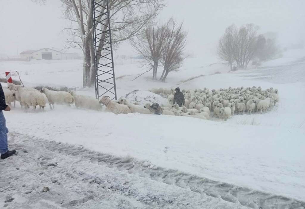 Sürüsü ile mahsur kalan çobanı Özel İdare ekipleri kurtardı