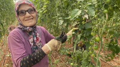 Kocası 5 çocuğuyla bırakıp kaçınca 46 sene ev temizledi, şimdi ise 75 yaşında serada çalışıyor