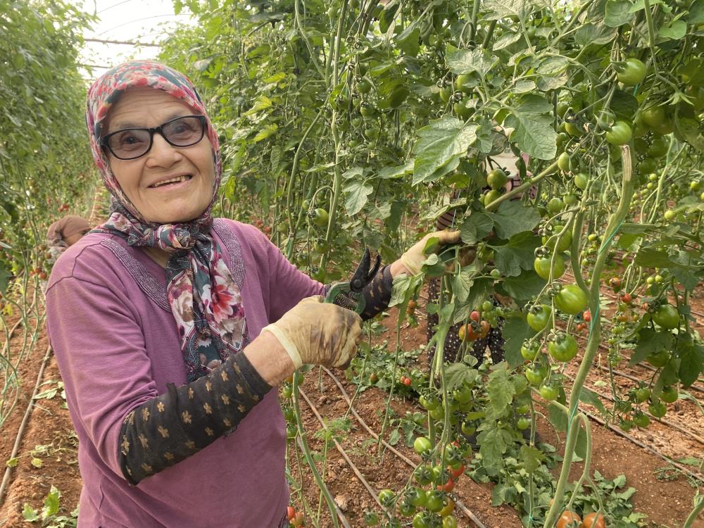 Kocası 5 çocuğuyla bırakıp kaçınca 46 sene ev temizledi, şimdi ise 75 yaşında serada çalışıyor