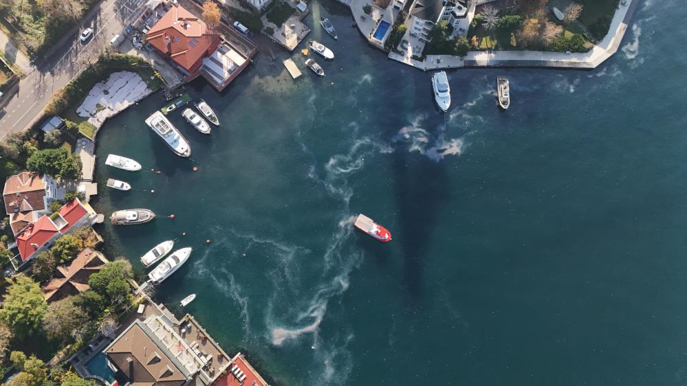 Boğaz’da milyon dolarlık yalıların önünde denizanası istilası