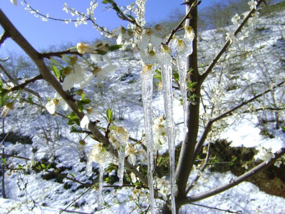 Muğla’ya yağmur sonrası soğuk hava uyarısı