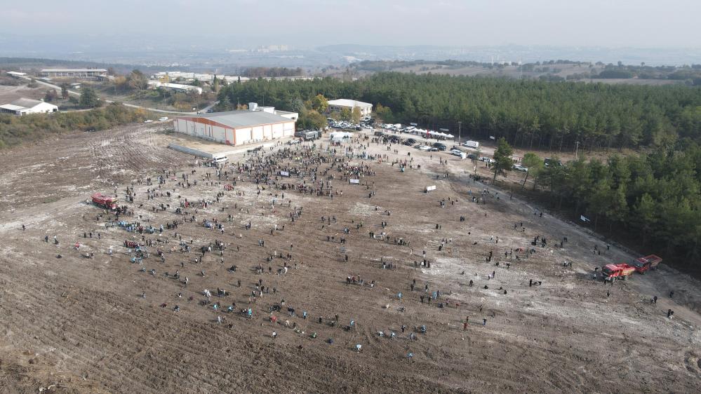 Bursa Uludağ Üniversitesi’nin yanan ormanları yeniden yeşeriyor