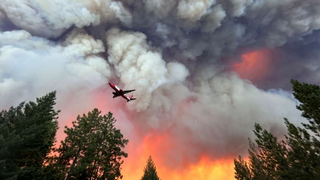 California’da orman yangını 20 bin dönümlük alana yayıldı, 132 yapı yandı